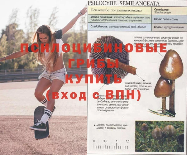 молекула духа Армянск