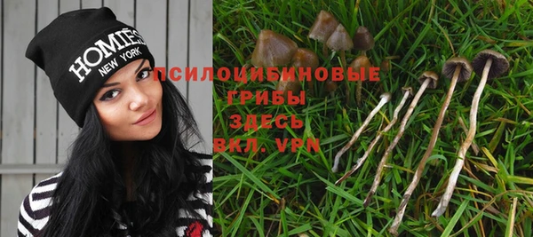 молекула духа Армянск